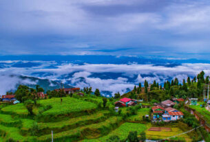 19 Best Tourist Places to Visit in India on Your Next Trip